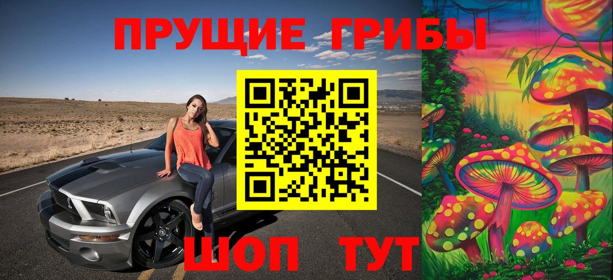 Галлюциногенные грибы Cubensis Дзержинск
