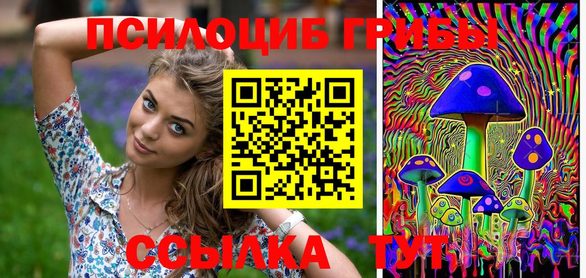 Галлюциногенные грибы прущие грибы  Вход с VPN  Дзержинск 